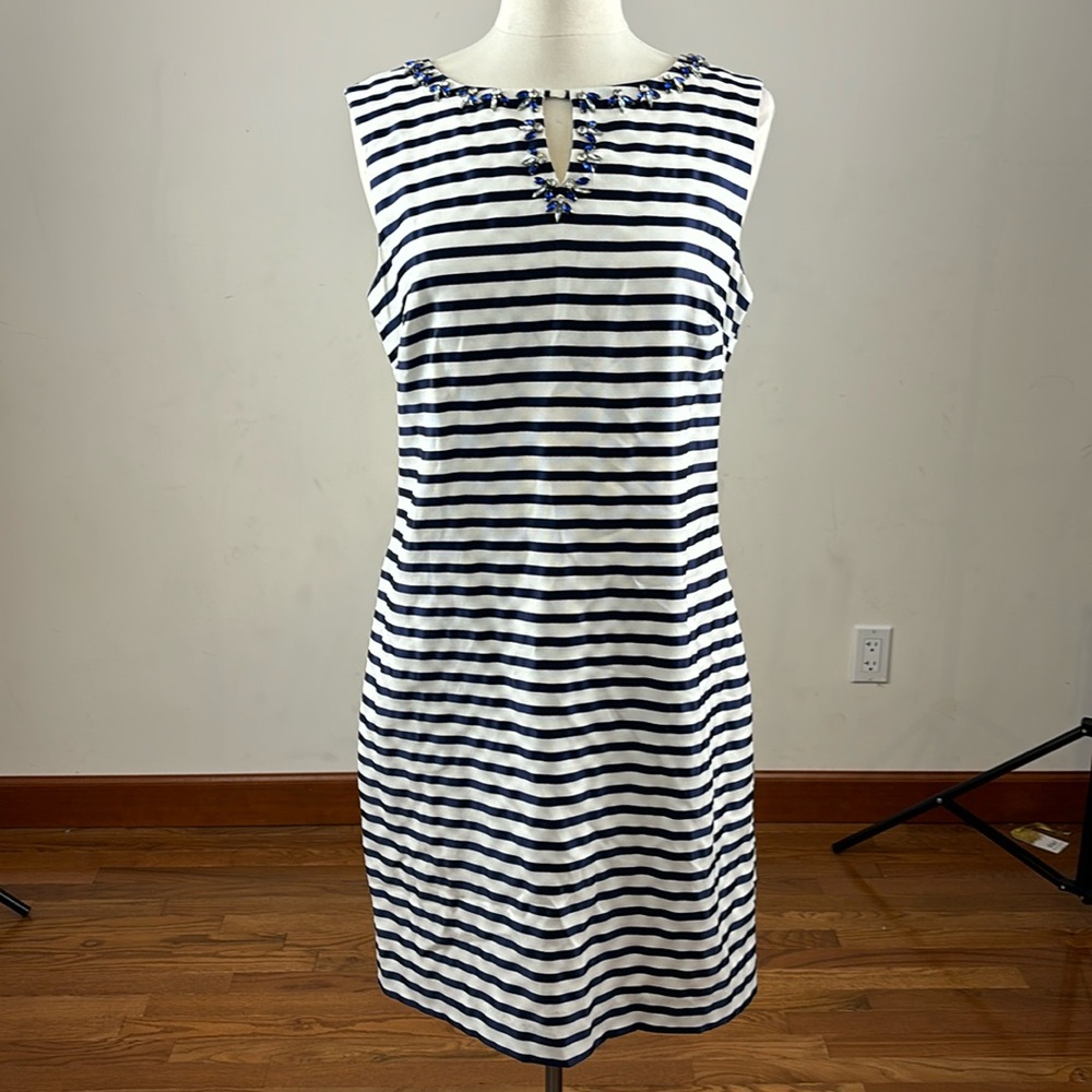 Ellen Tracy lined, sleeveless dress with embellishments. Women’s size 12